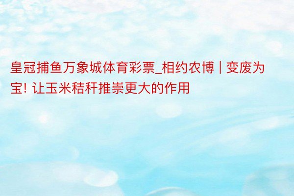 皇冠捕鱼万象城体育彩票_相约农博 | 变废为宝! 让玉米秸秆推崇更大的作用