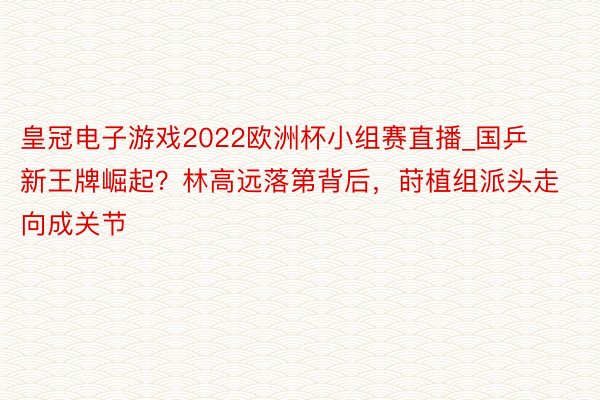 皇冠电子游戏2022欧洲杯小组赛直播_国乒新王牌崛起？林高远落第背后，莳植组派头走向成关节